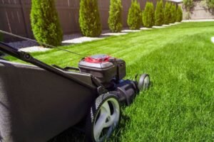 Lawn Care